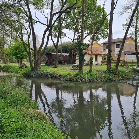 Bed and Breakfast Roulotte D'Aquitaine Saint-Sulpice-de-Faleyrens Exterior foto