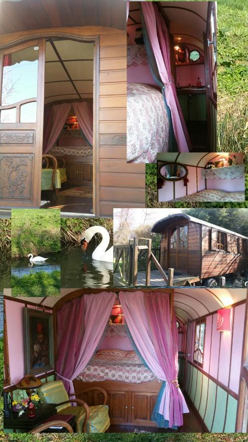Bed and Breakfast Roulotte D'Aquitaine Saint-Sulpice-de-Faleyrens Exterior foto
